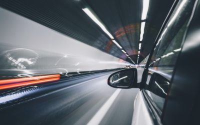 Taxes, Construction, and now Transportation…What Can’t Dogs Do?