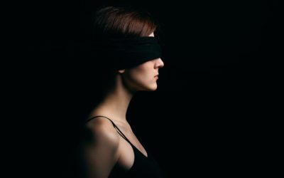 What is Bird Box Stirring up in the Tax World?