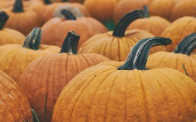Tax (Extension) Season Nearing the End