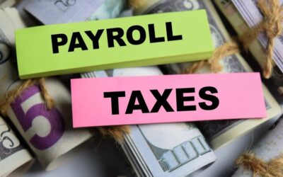 Employer Payroll Taxes